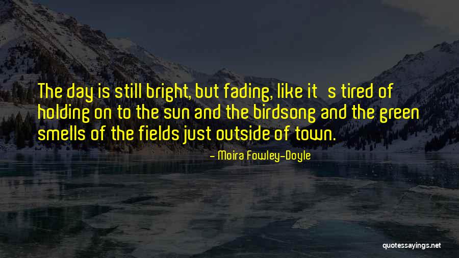 Winchelsea Land Quotes By Moira Fowley-Doyle Winchelsea Land Quotes By Moira Fowley-Doyle