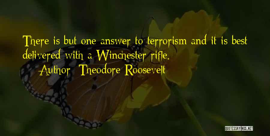 Winchester Rifle Quotes By Theodore Roosevelt