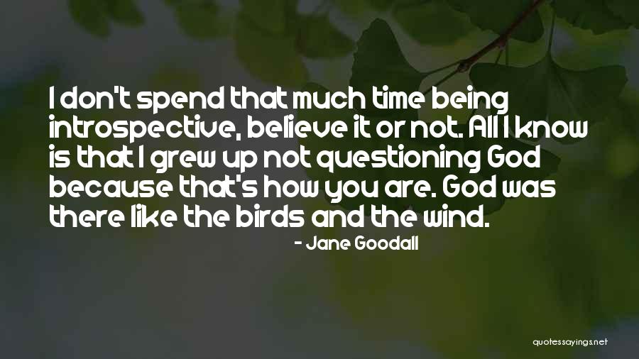 Wind And God Quotes By Jane Goodall Wind And God Quotes By Jane Goodall