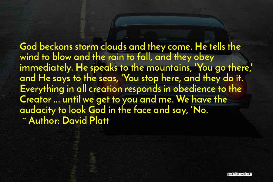 Wind And Rain Quotes By David Platt