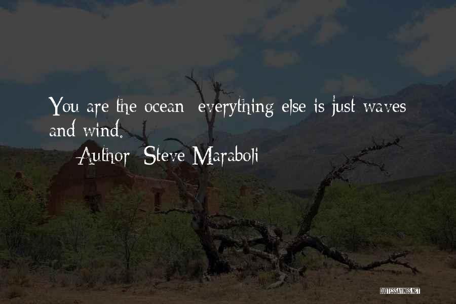 Wind And Waves Quotes By Steve Maraboli