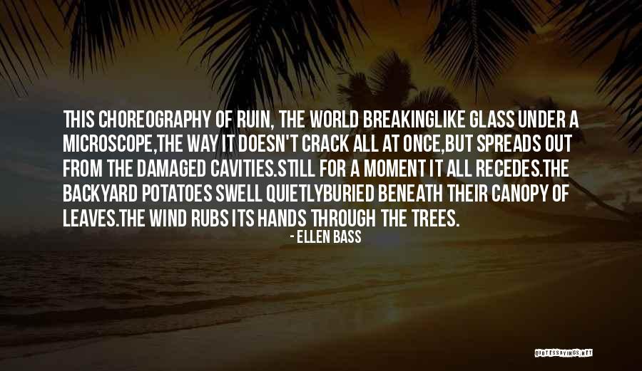 Wind Beneath Quotes By Ellen Bass Wind Beneath Quotes By Ellen Bass