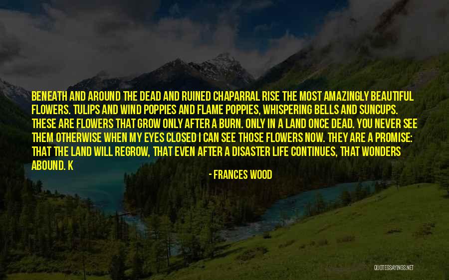 Wind Beneath Quotes By Frances Wood Wind Beneath Quotes By Frances Wood