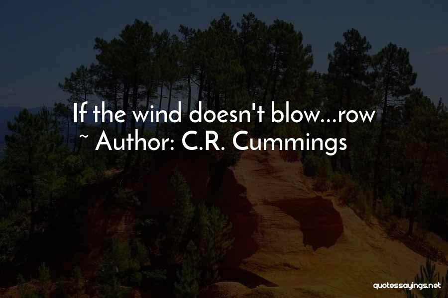 Wind Blow Quotes By C.R. Cummings