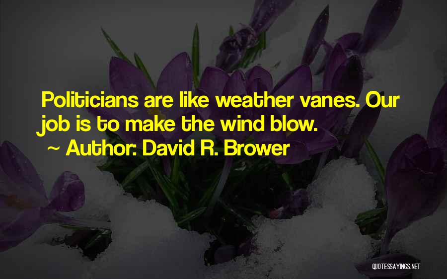 Wind Blow Quotes By David R. Brower