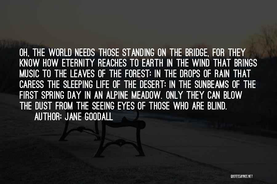 Wind Blow Quotes By Jane Goodall