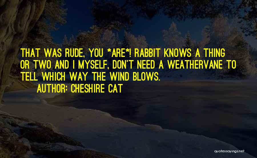Wind Blows Quotes By Cheshire Cat