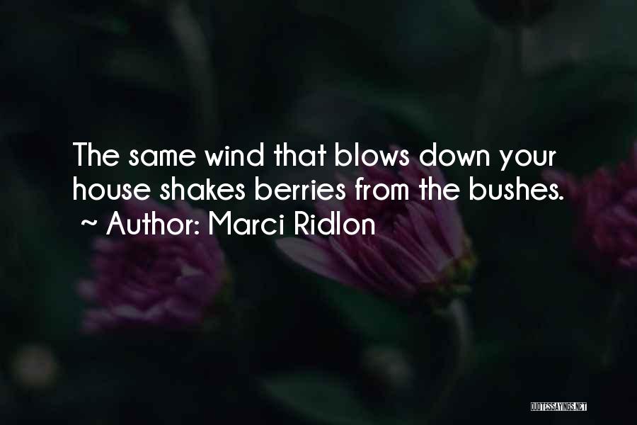 Wind Blows Quotes By Marci Ridlon