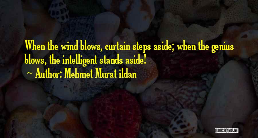 Wind Blows Quotes By Mehmet Murat Ildan