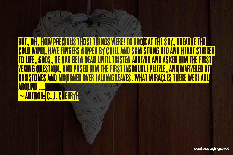 Wind Chill Quotes By C.J. Cherryh