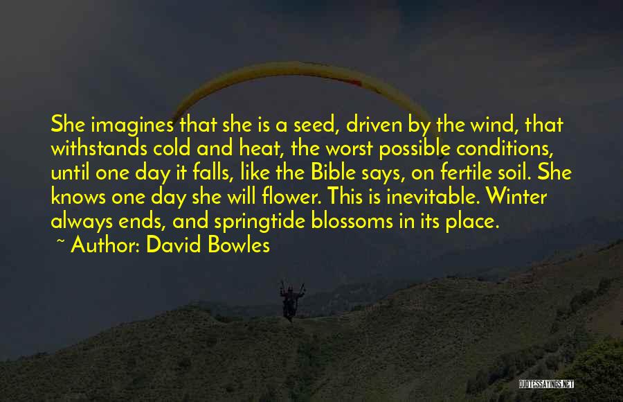 Wind Driven Quotes By David Bowles