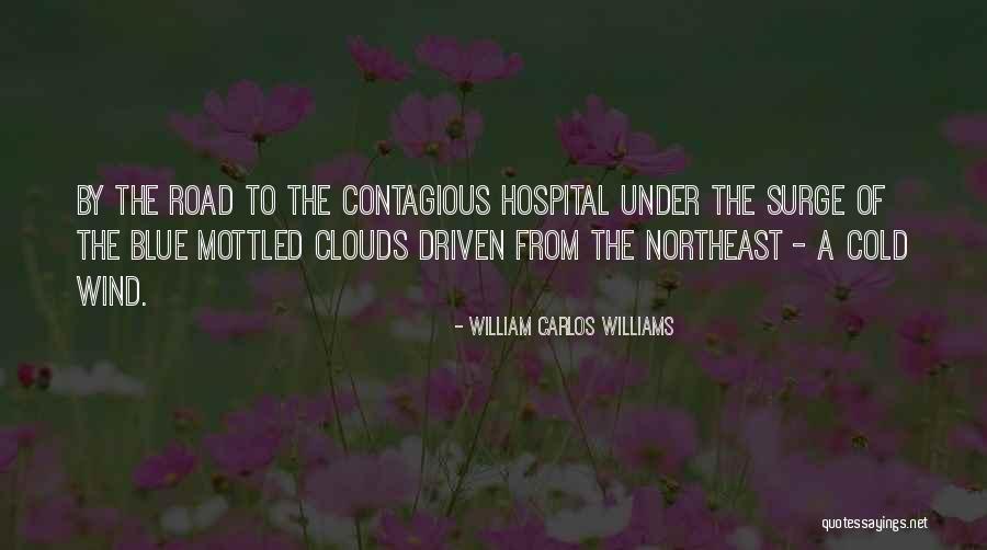 Wind Driven Quotes By William Carlos Williams Wind Driven Quotes By William Carlos Williams