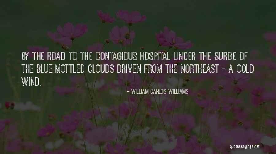 Wind Driven Quotes By William Carlos Williams