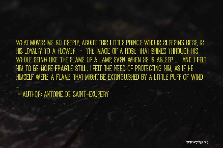 Wind Flower Quotes By Antoine De Saint-Exupery