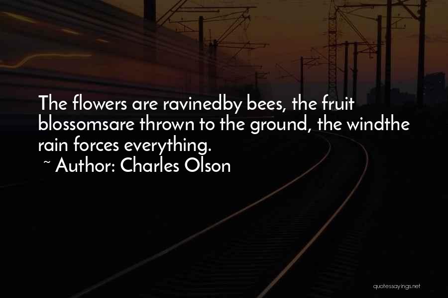 Wind Flower Quotes By Charles Olson