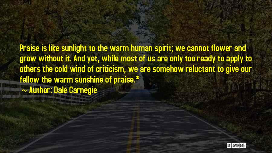 Wind Flower Quotes By Dale Carnegie
