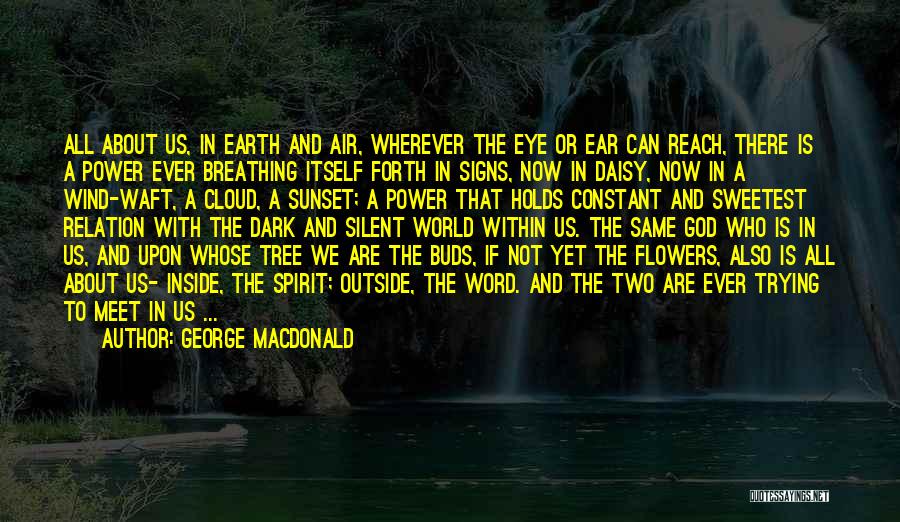 Wind Flower Quotes By George MacDonald