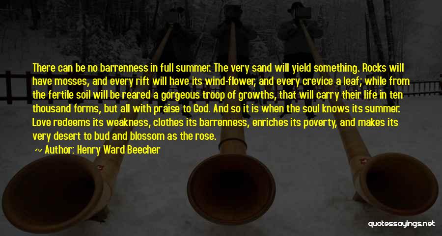 Wind Flower Quotes By Henry Ward Beecher