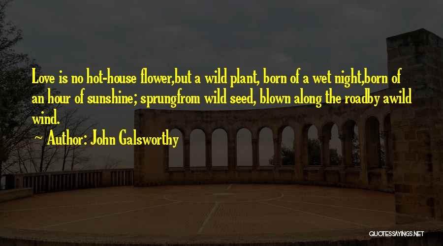 Wind Flower Quotes By John Galsworthy