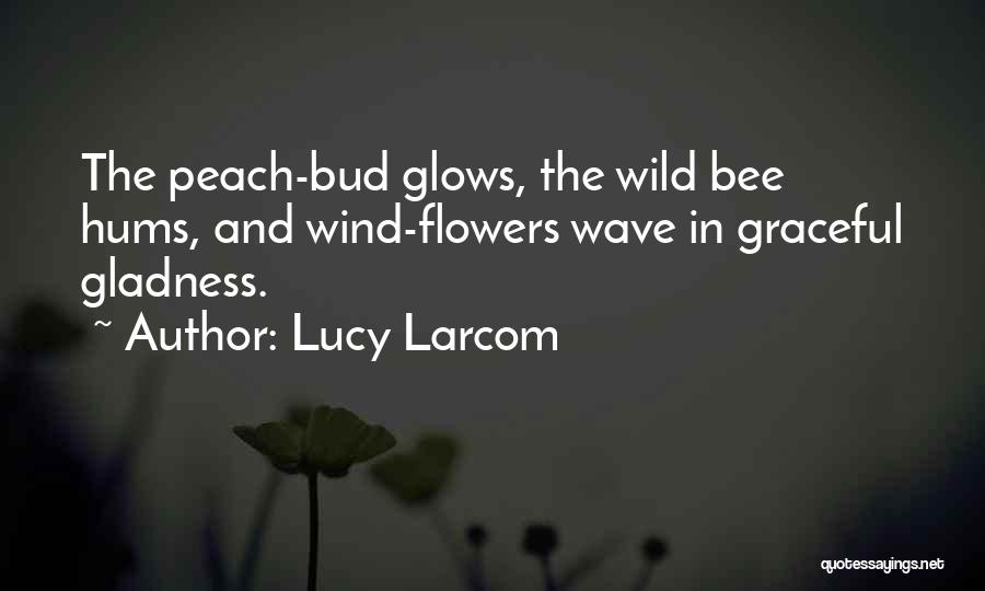 Wind Flower Quotes By Lucy Larcom