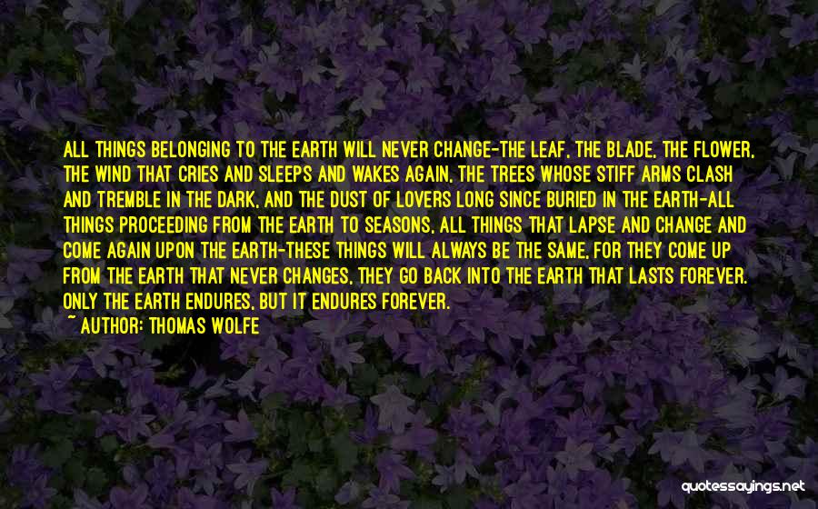 Wind Flower Quotes By Thomas Wolfe