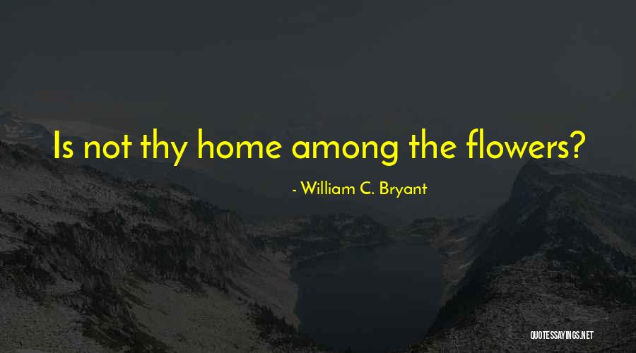 Wind Flower Quotes By William C. Bryant