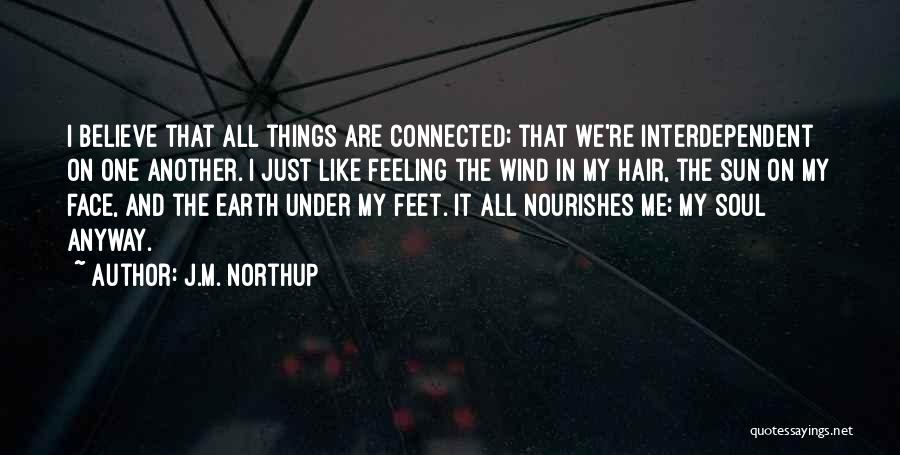 Wind Hair Quotes By J.M. Northup