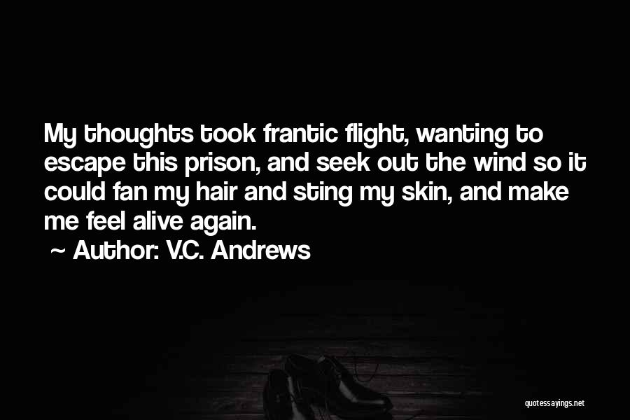 Wind Hair Quotes By V.C. Andrews