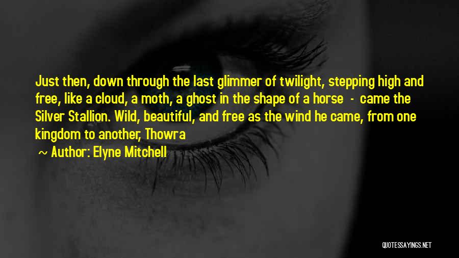 Wind Horse Quotes By Elyne Mitchell