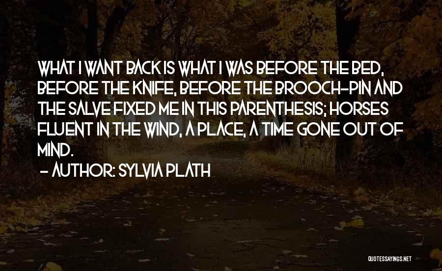 Wind Horse Quotes By Sylvia Plath