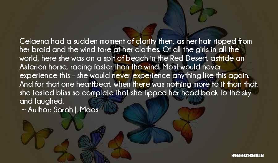 Wind In Hair Quotes By Sarah J. Maas