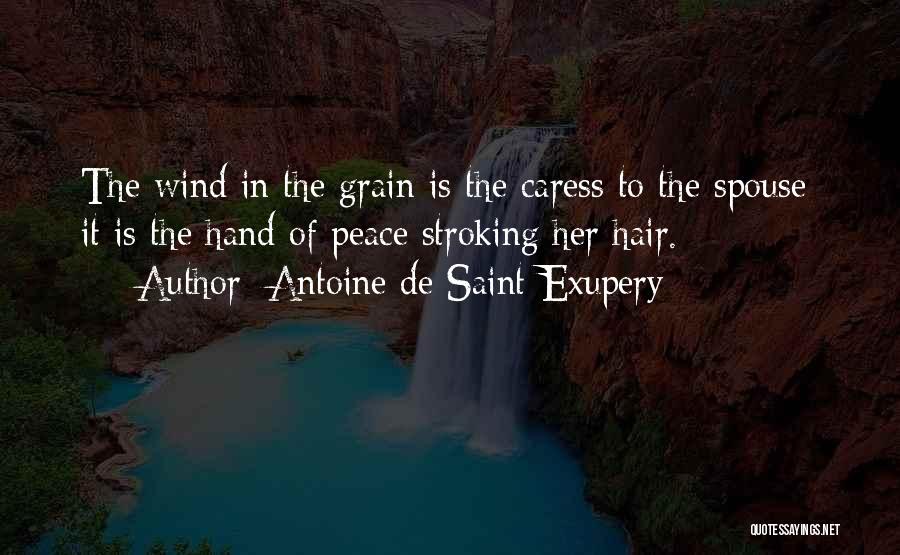 Wind In Her Hair Quotes By Antoine De Saint-Exupery
