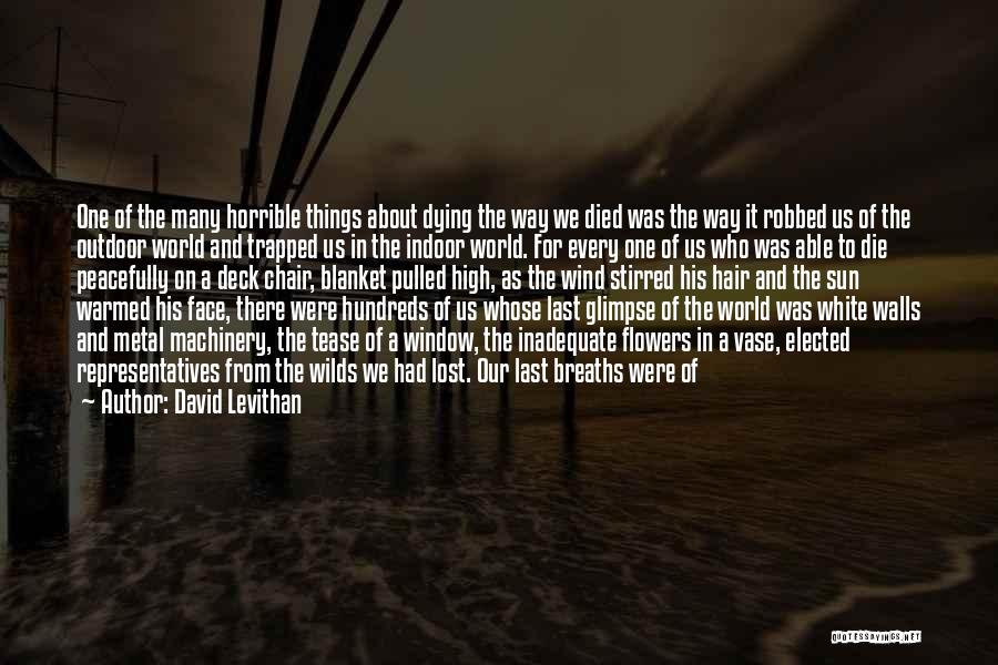 Wind In His Hair Quotes By David Levithan