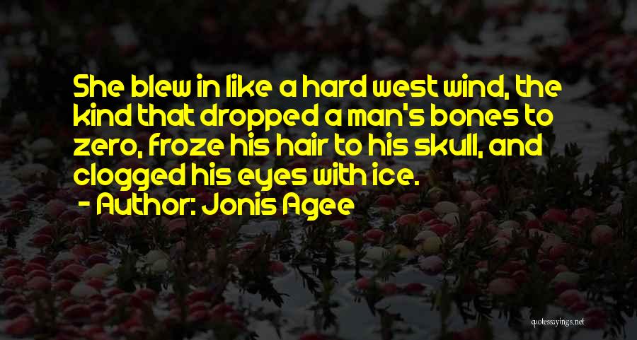 Wind In His Hair Quotes By Jonis Agee