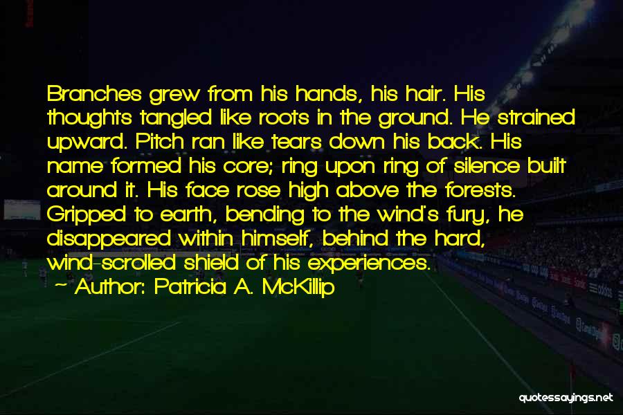 Wind In His Hair Quotes By Patricia A. McKillip