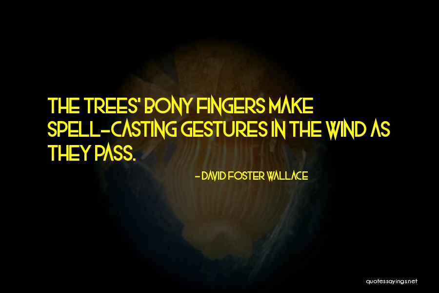 Wind In The Trees Quotes By David Foster Wallace Wind In The Trees Quotes By David Foster Wallace
