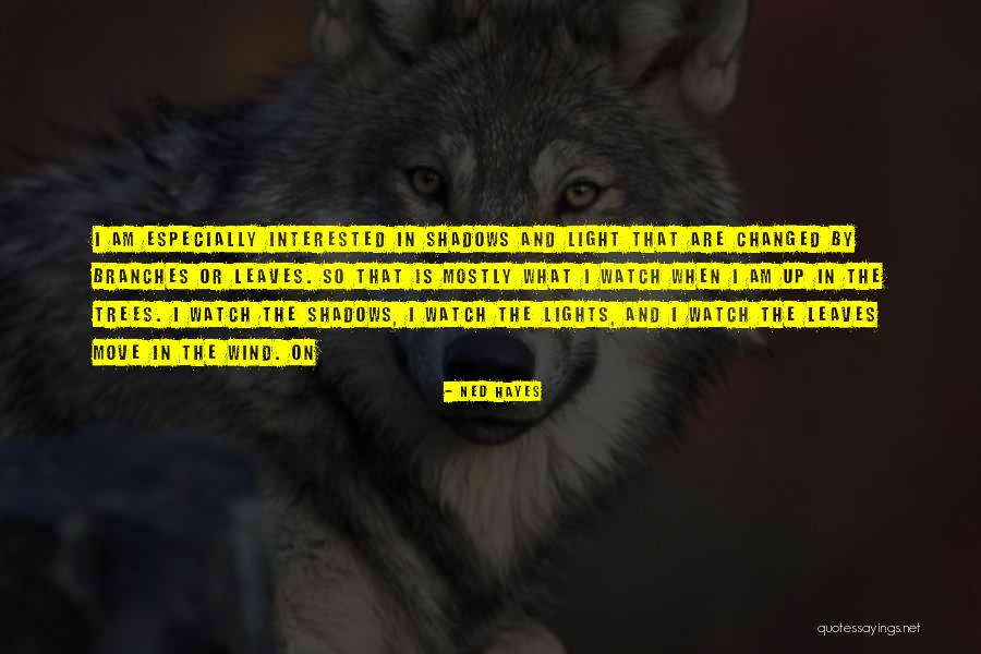 Wind In The Trees Quotes By Ned Hayes Wind In The Trees Quotes By Ned Hayes