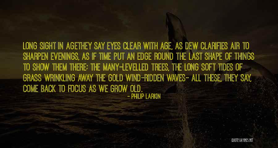 Wind In The Trees Quotes By Philip Larkin Wind In The Trees Quotes By Philip Larkin