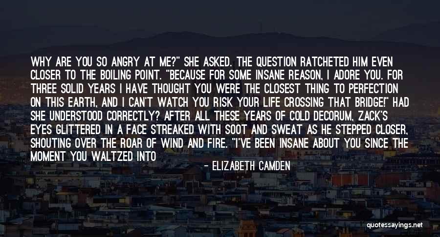 Wind In Your Face Quotes By Elizabeth Camden Wind In Your Face Quotes By Elizabeth Camden