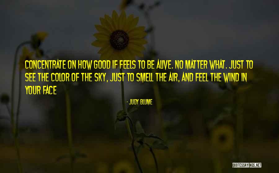 Wind In Your Face Quotes By Judy Blume Wind In Your Face Quotes By Judy Blume