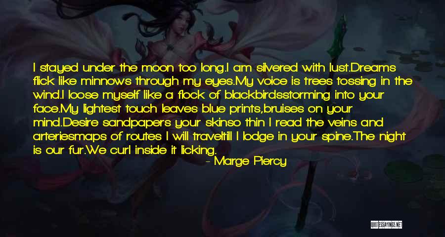 Wind In Your Face Quotes By Marge Piercy Wind In Your Face Quotes By Marge Piercy