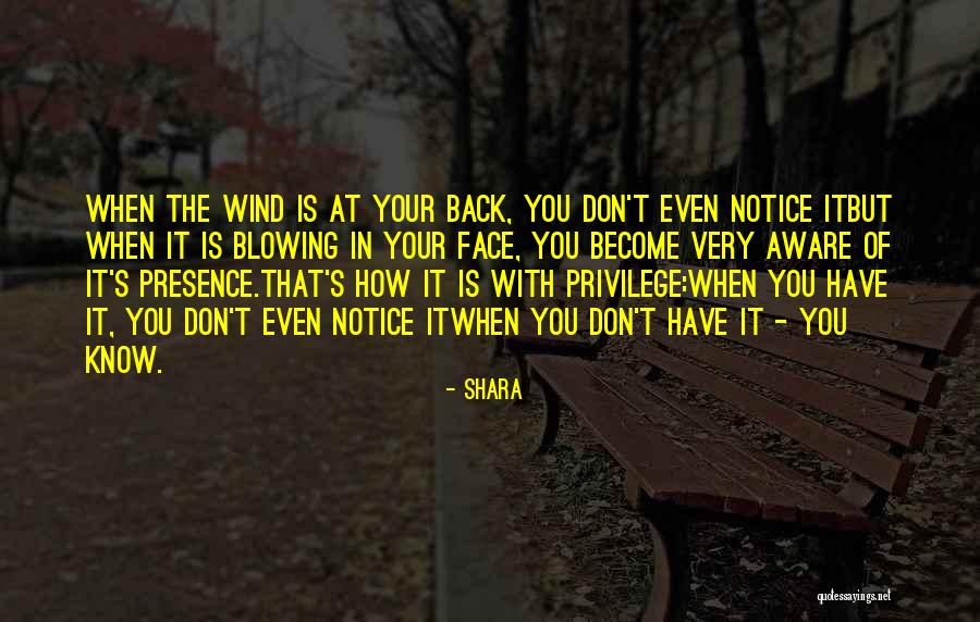 Wind In Your Face Quotes By Shara Wind In Your Face Quotes By Shara