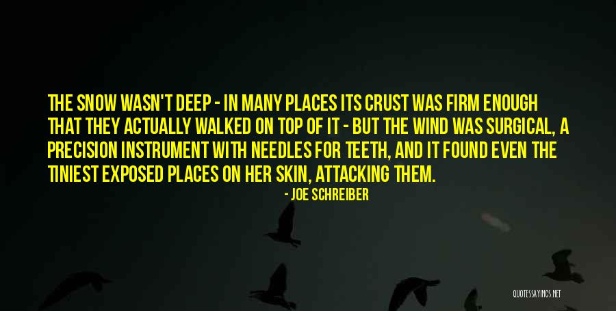 Wind Instrument Quotes By Joe Schreiber