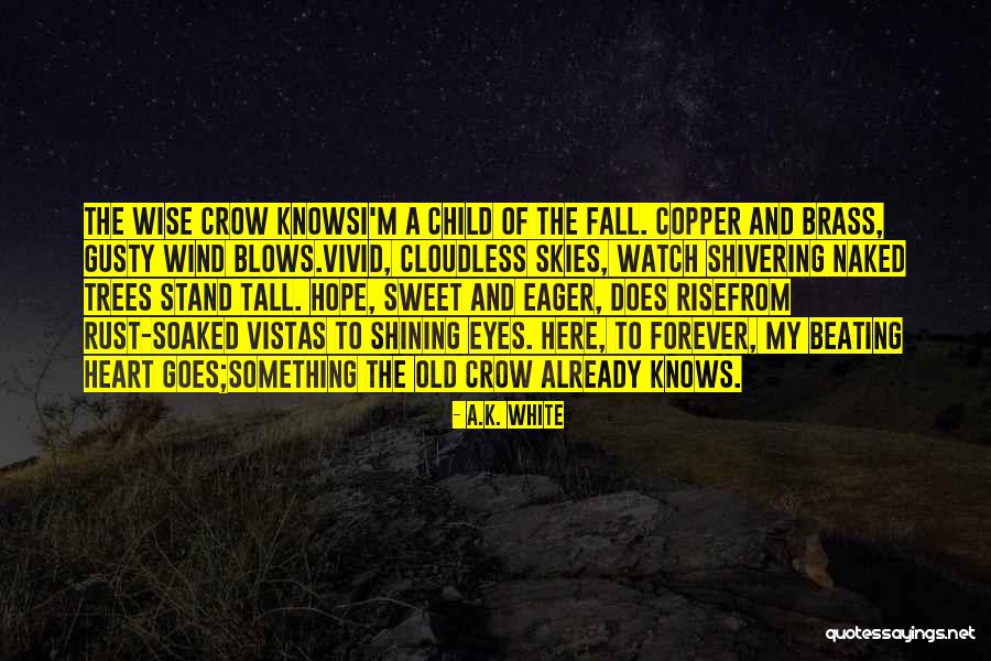 Wind Of Hope Quotes By A.K. White Wind Of Hope Quotes By A.K. White