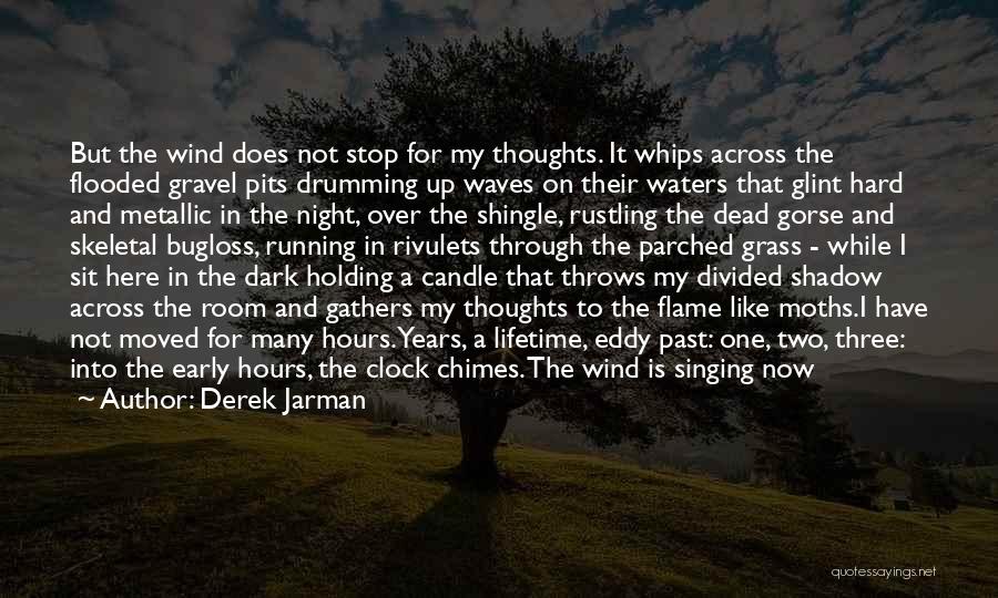 Wind Running Quotes By Derek Jarman