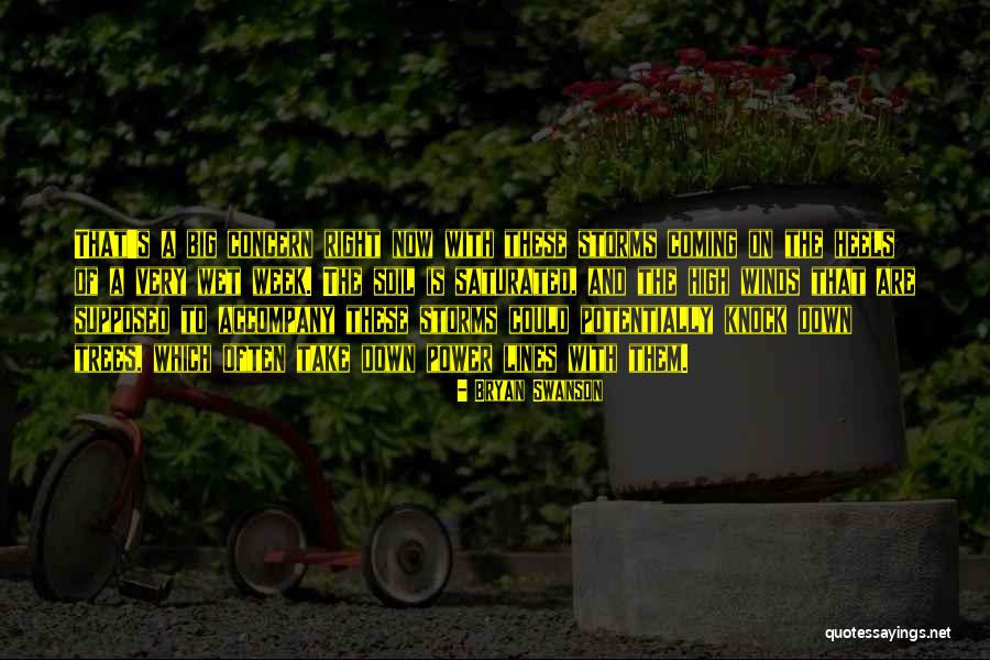 Wind Tree Quotes By Bryan Swanson Wind Tree Quotes By Bryan Swanson