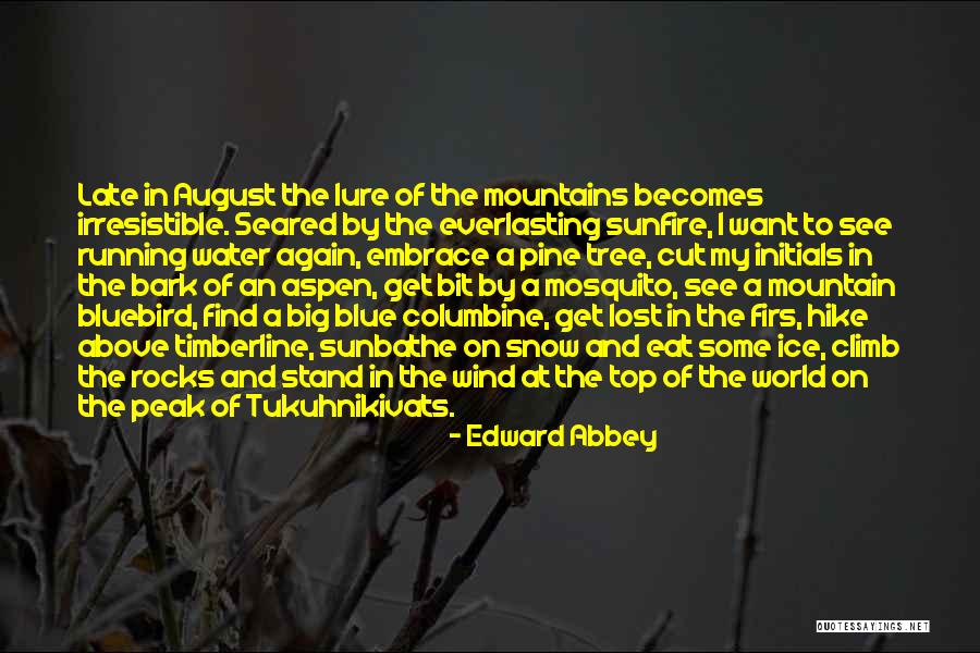 Wind Tree Quotes By Edward Abbey Wind Tree Quotes By Edward Abbey