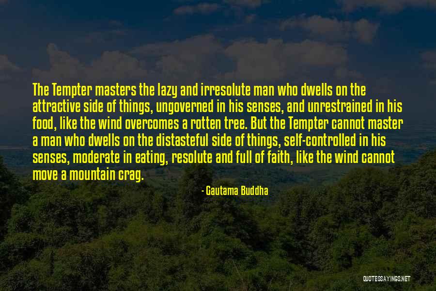Wind Tree Quotes By Gautama Buddha Wind Tree Quotes By Gautama Buddha