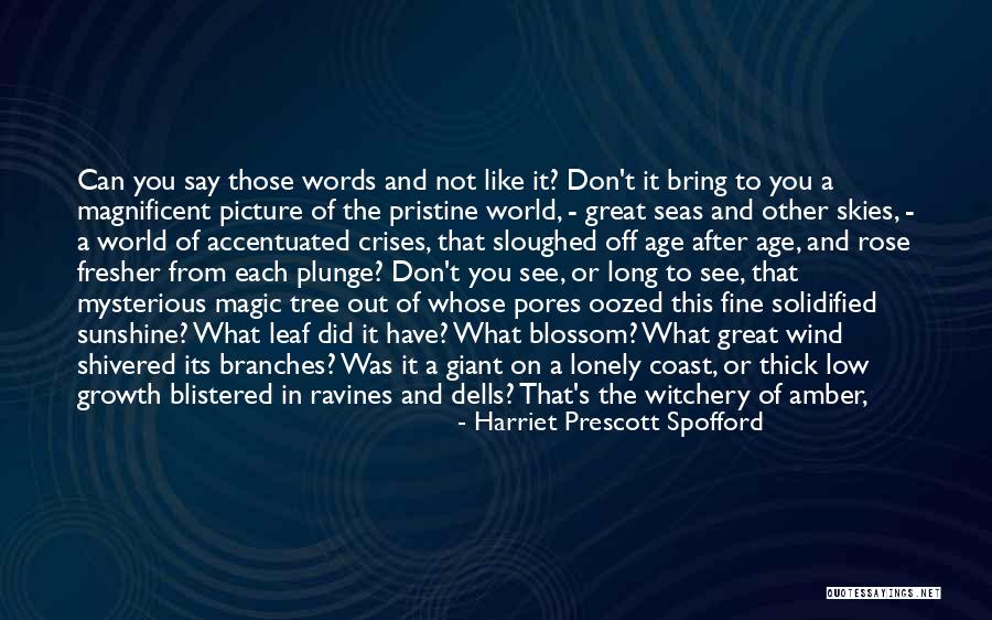Wind Tree Quotes By Harriet Prescott Spofford Wind Tree Quotes By Harriet Prescott Spofford