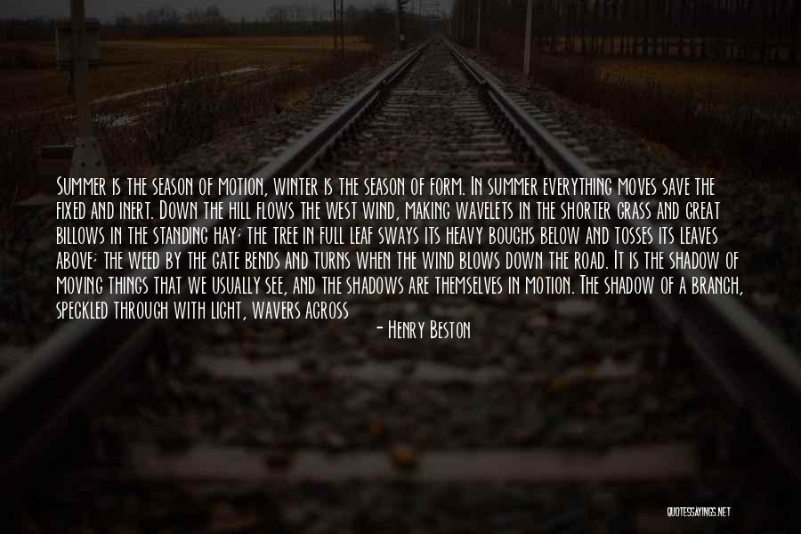 Wind Tree Quotes By Henry Beston Wind Tree Quotes By Henry Beston
